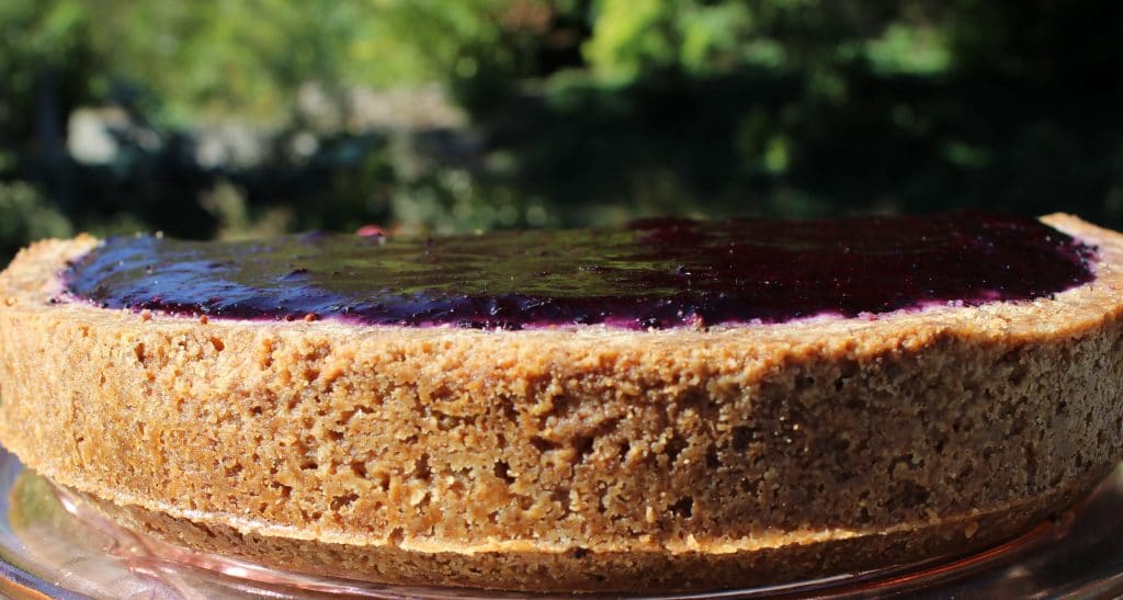 Pat in the Pan Crust Homemade Food Junkie