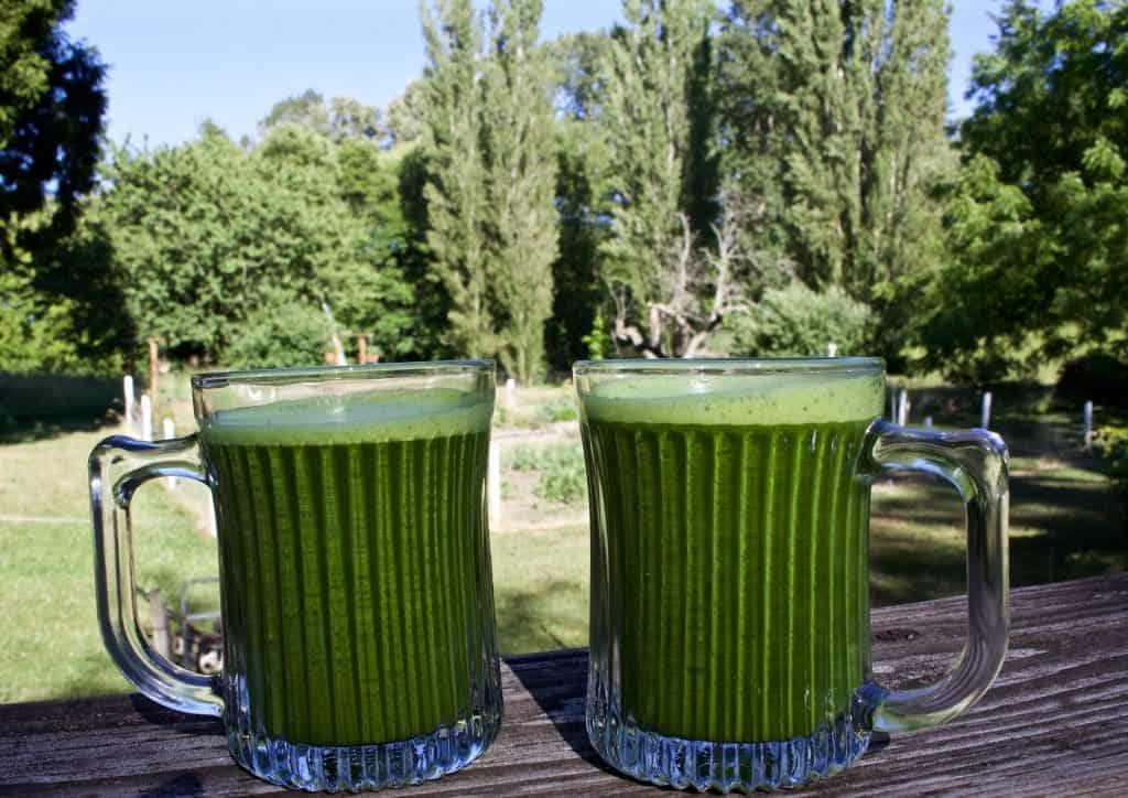 Garden Green Juice for Two Homemade Food Junkie