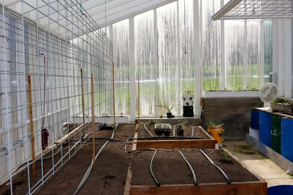Plastic Greenhouse With Tomato Trellis