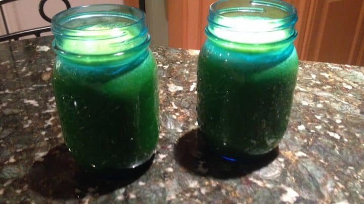 Green Juice Put Some Stinging Nettles In The Juice!