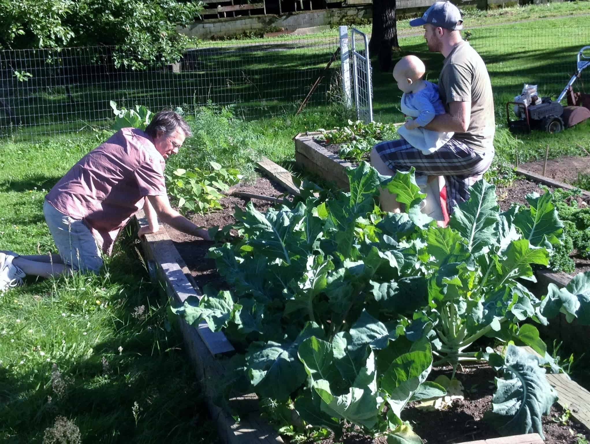 Vacationers Garden Survival Guide 4 Vacationers Garden Survival Guide