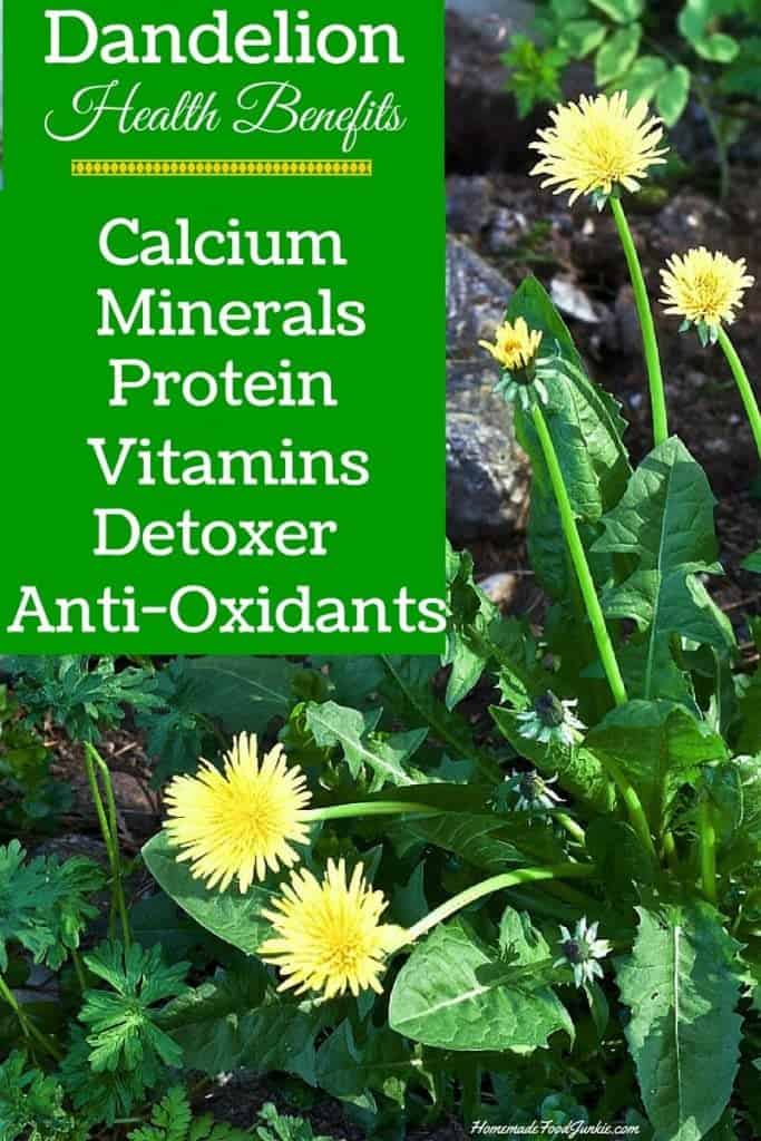 Dandelions Benefit Our Health Http://Homemadefoodjunkie.com