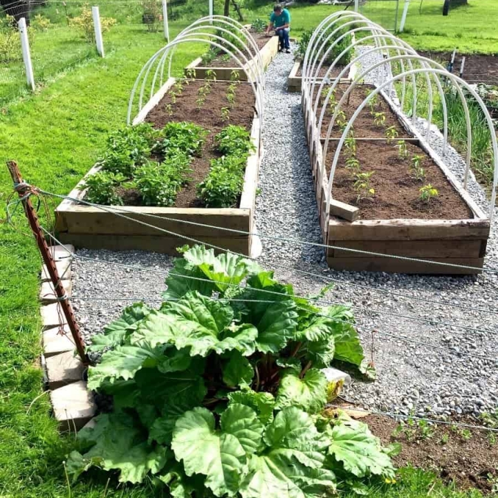 Garden Plot Location and other tips to help beginner gardeners #gardenplot #gardenocation #gardentips