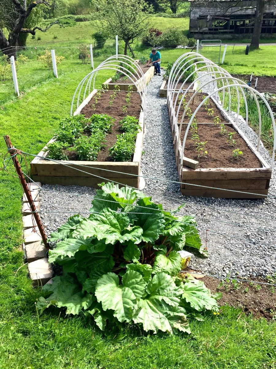 Building Raised Garden Beds