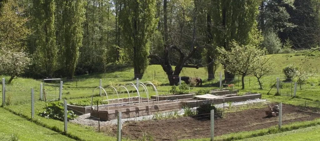 Spring Garden After Building Raised Garden Beds