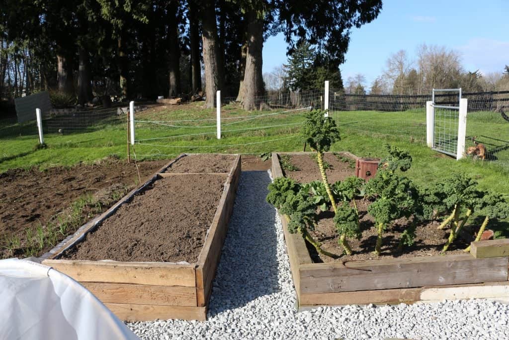 Building Raised Garden Beds Gives A Garden Structure