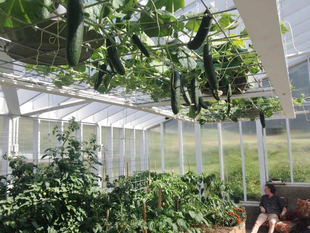Spring Gardening Projects 4 Greenhouse In June 2014