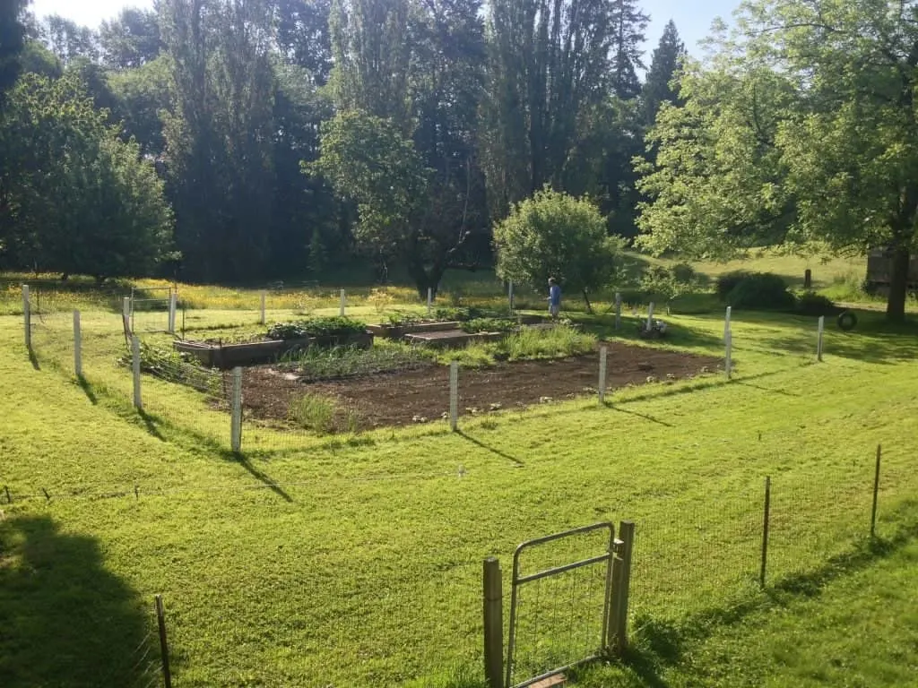 Outdoor Garden Plot Location Considerations