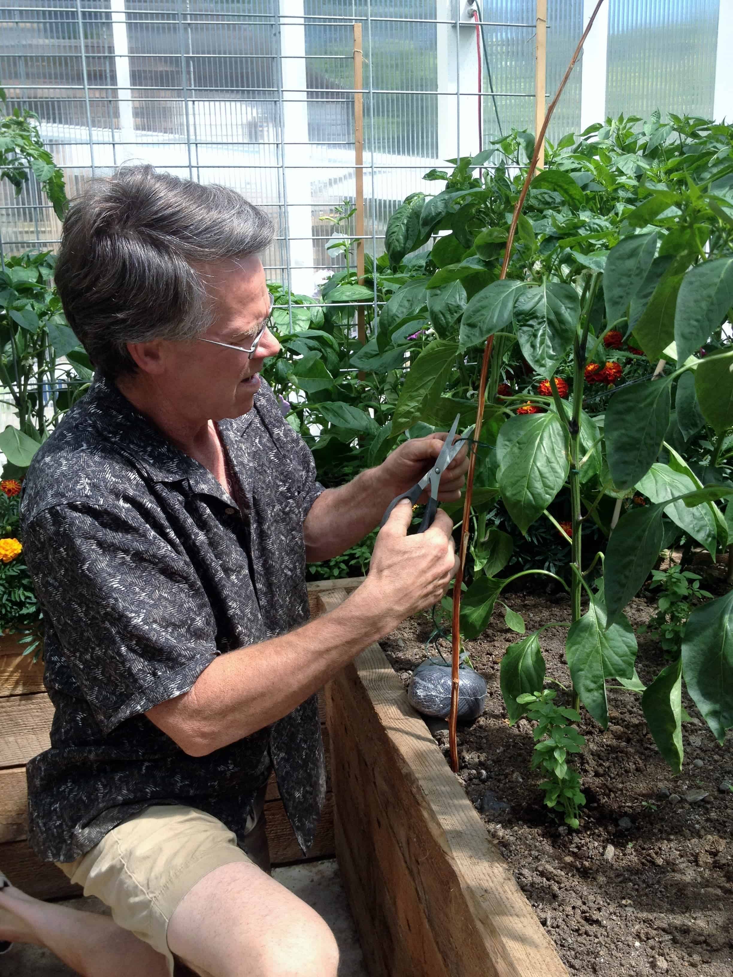 Greenhouse Management