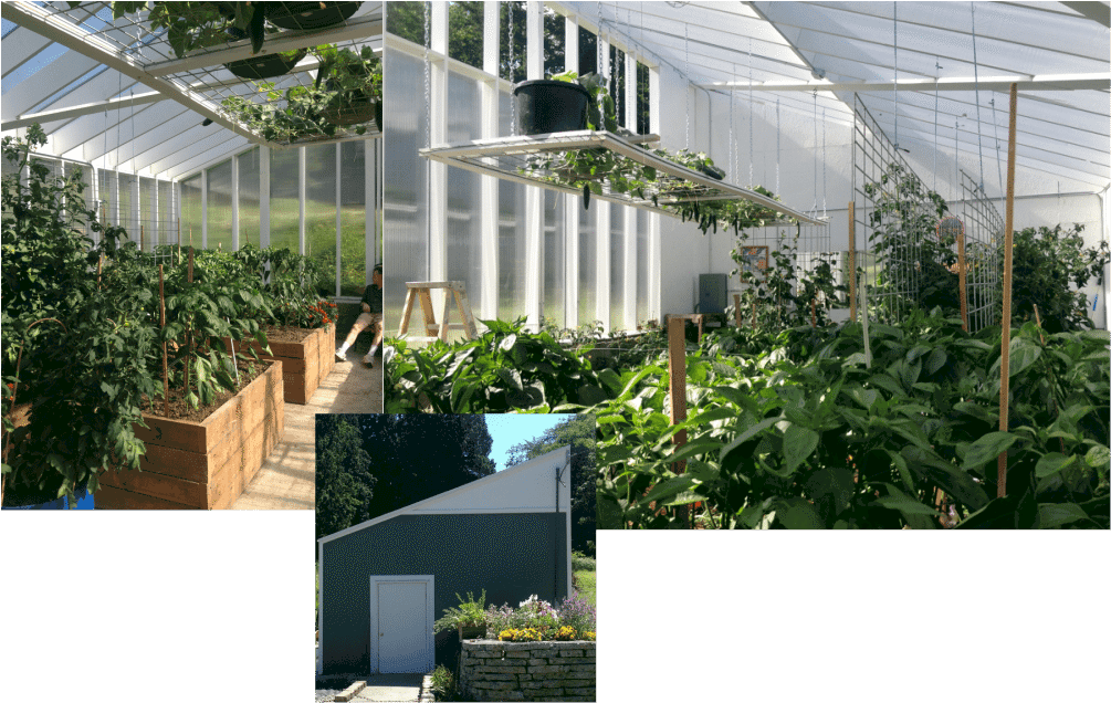 Our Greenhouse- Garden History