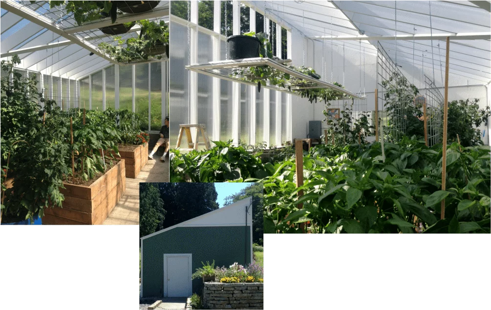 Our Greenhouse- Garden History