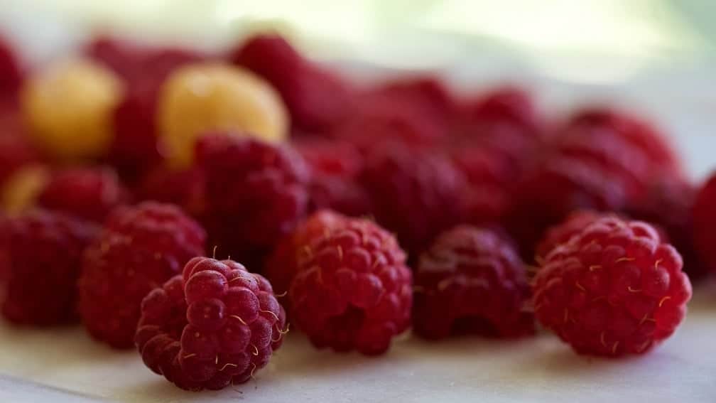 Fresh Raspberries