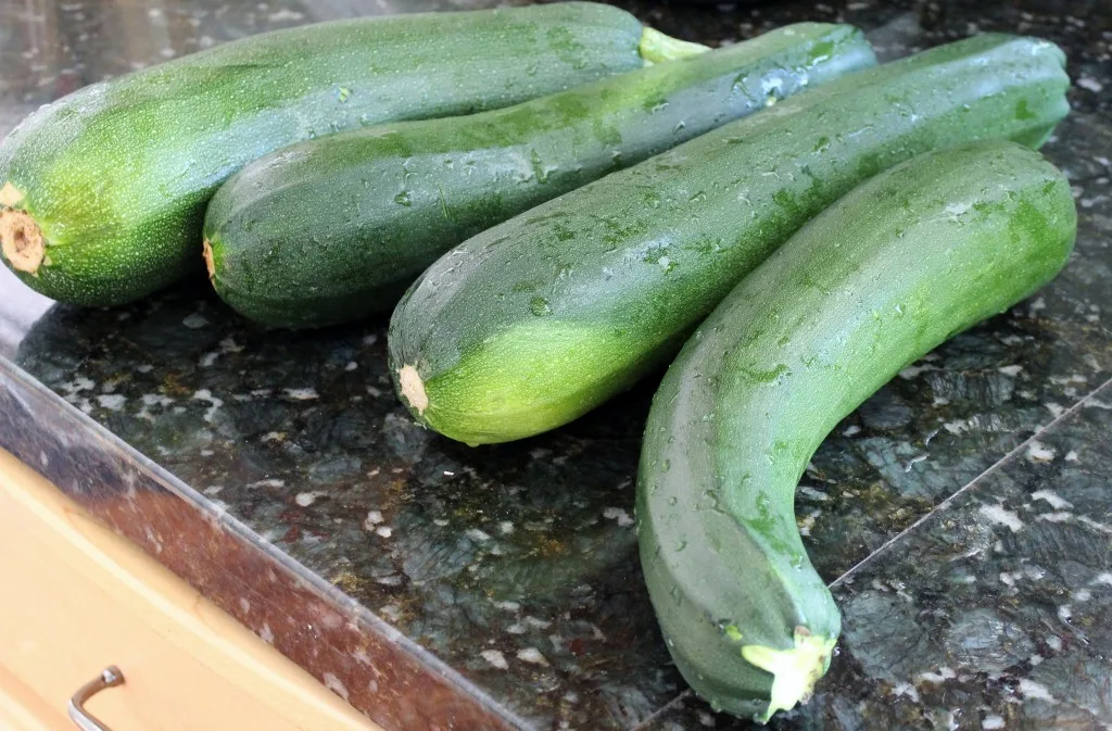 Fresh Zucchini