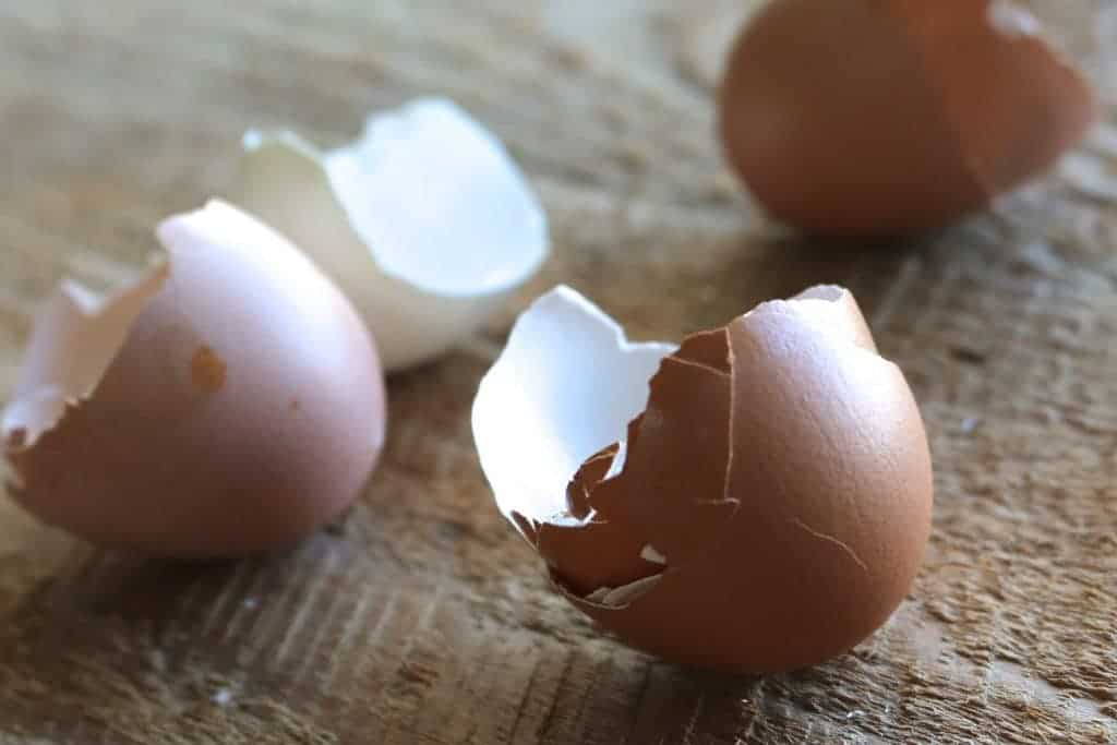 Egg Shells From Our Hens