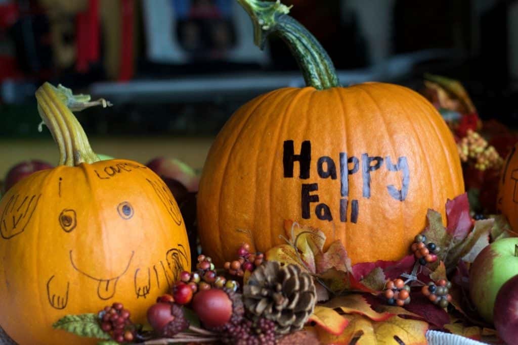 Pumpkin Greetings. Two Fresh Pumpkins With Happy Fall And A Cute Face.