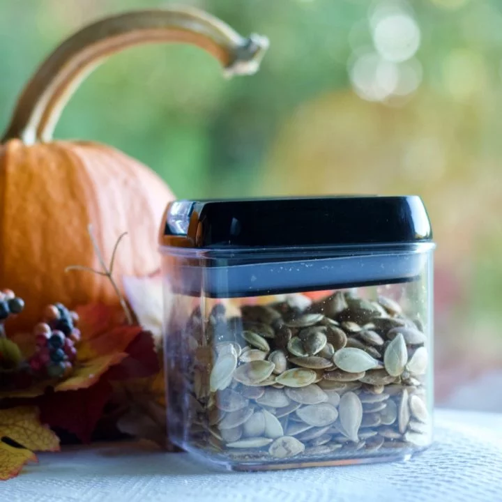 Roasted Pumpkin seeds in a clear airtight container. Sitting by a pumpkin.