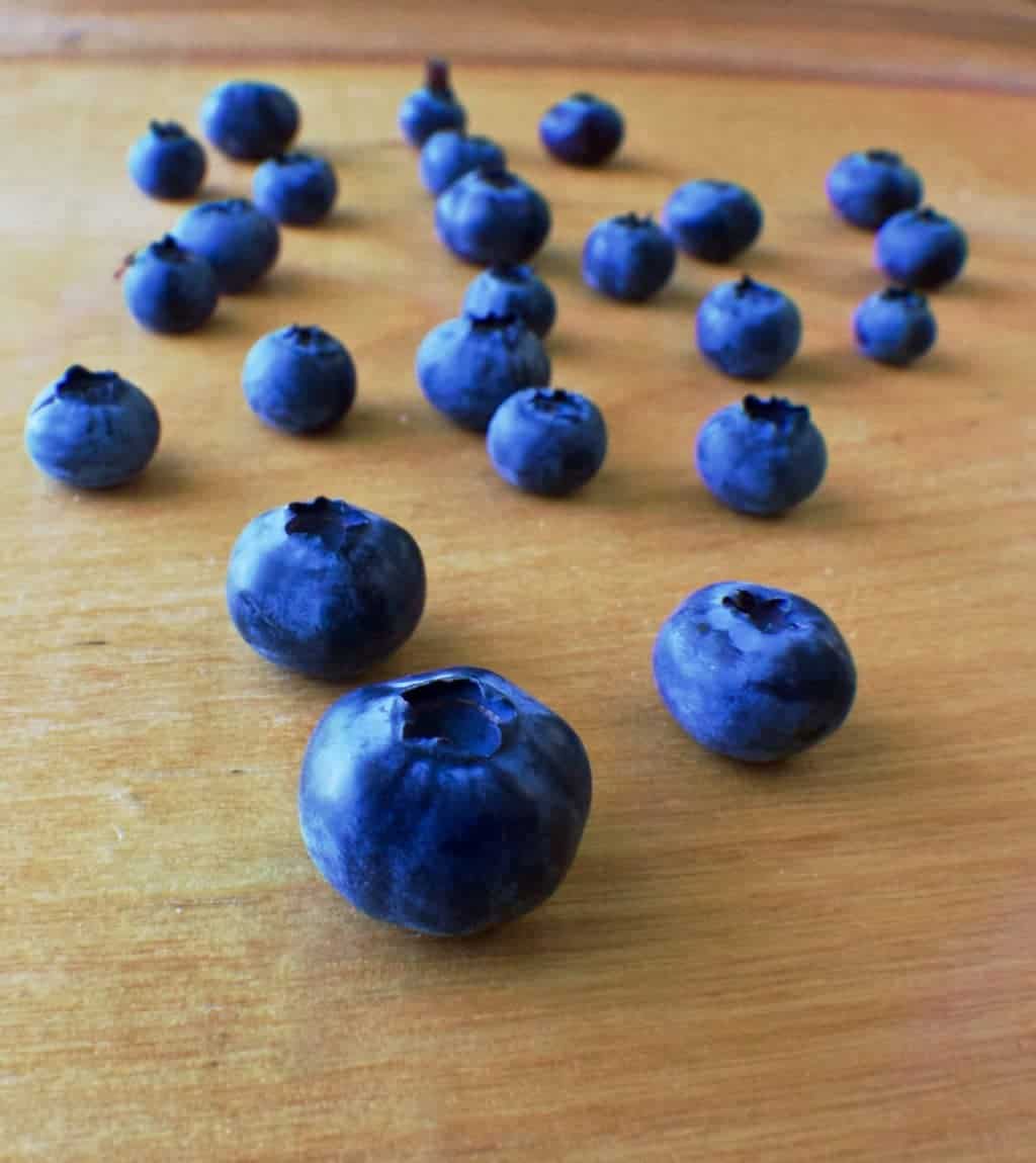 Freezing Fresh Blueberries Easily 3 Blueberries
