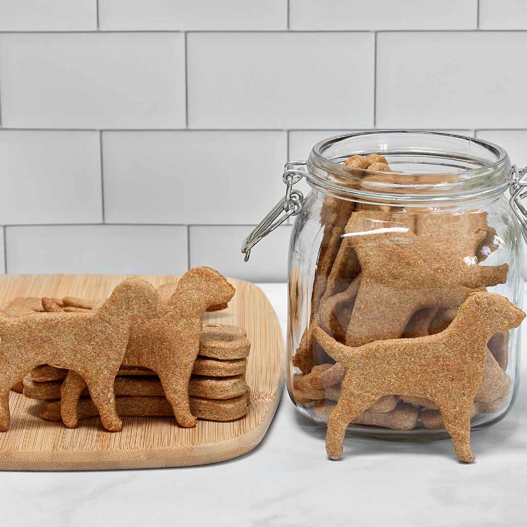 Pumpkin Dog Treats