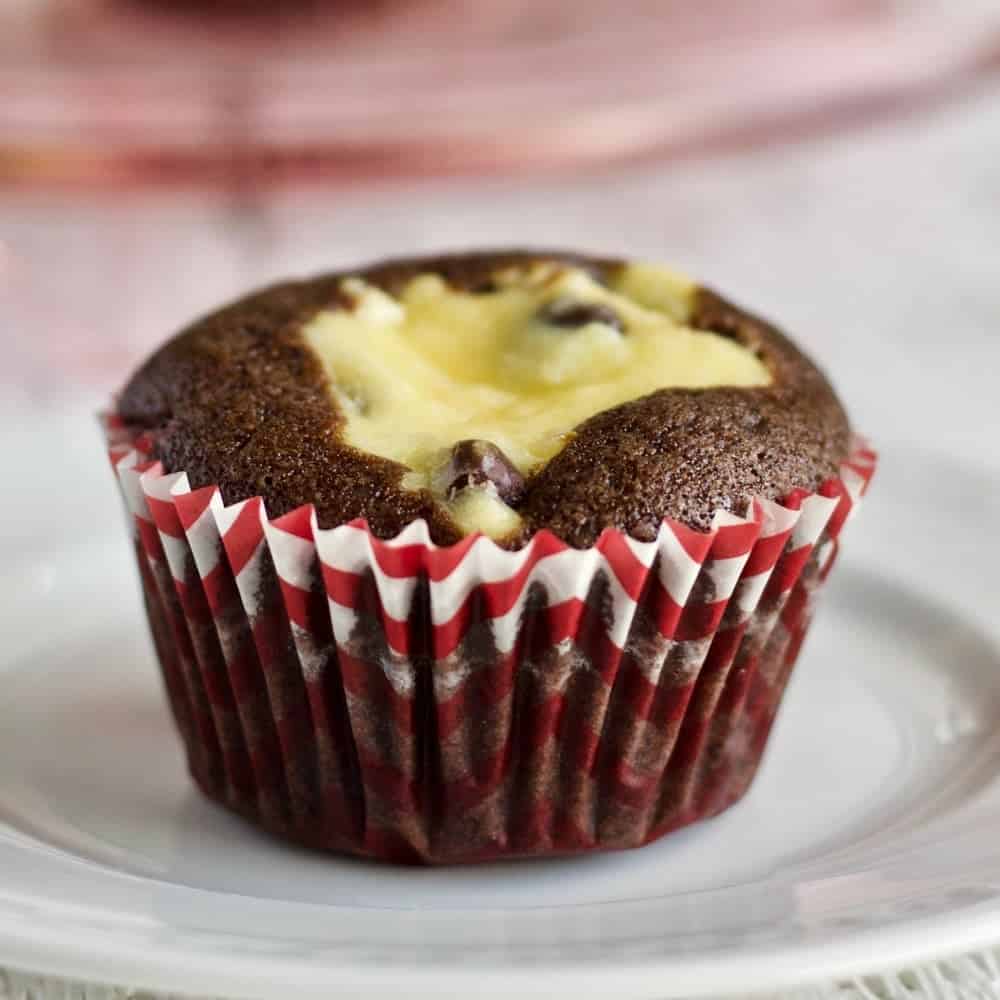 Black Bottom Cupcake