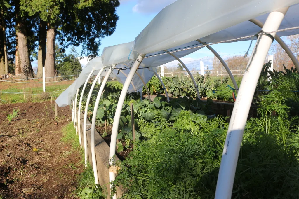 Hoop Gardening