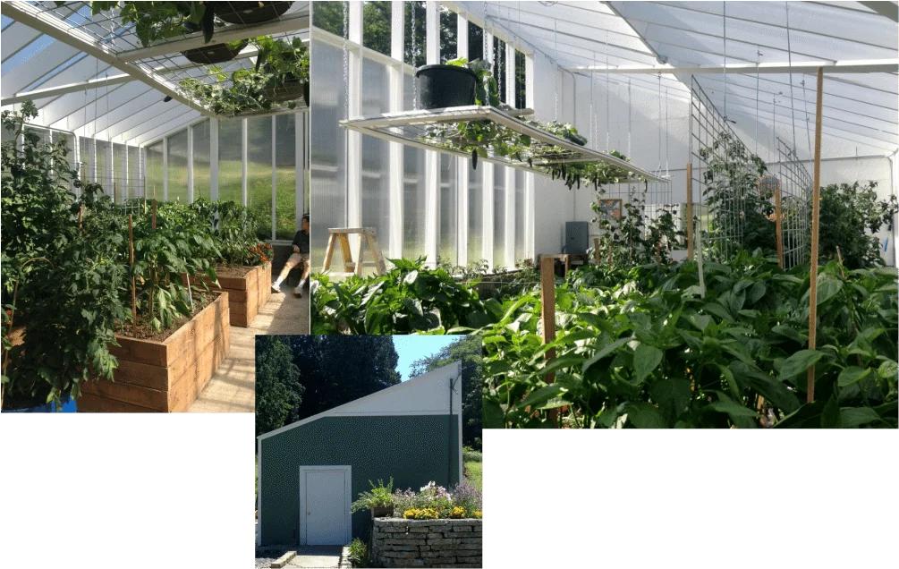 Our Greenhouse With Double Paneled Hog Wire Tomato Trellis And Other Trellis Ideas. Http://Homemadefoodjunkie.com