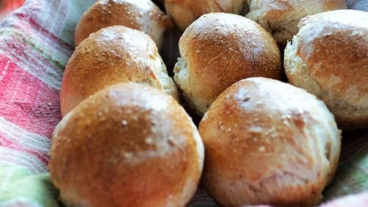 Homemade Dinner Rolls