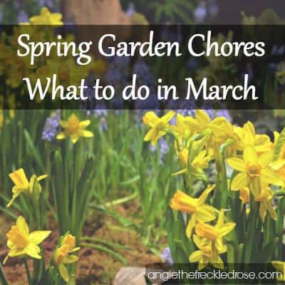 Spring Garden Chores