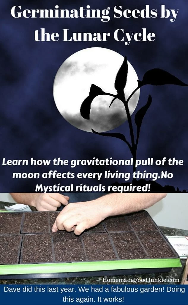 Germinating Seeds By The Lunar Cycle Http://Homemadefoodjunkie.com