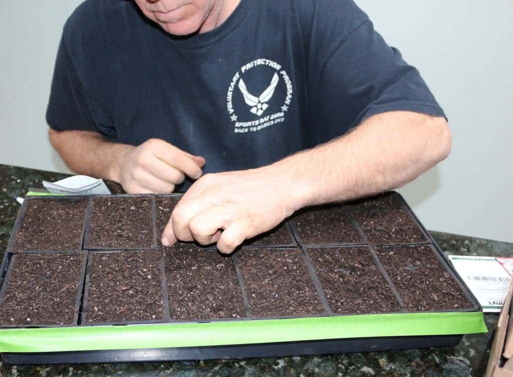 Germinating Seeds By Lunar Cycle. Http://Homemadefoodjunkie.com