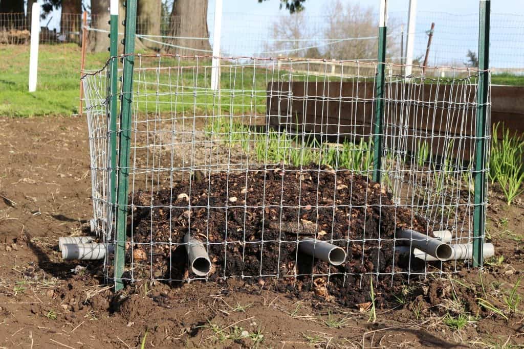 Compost Pile