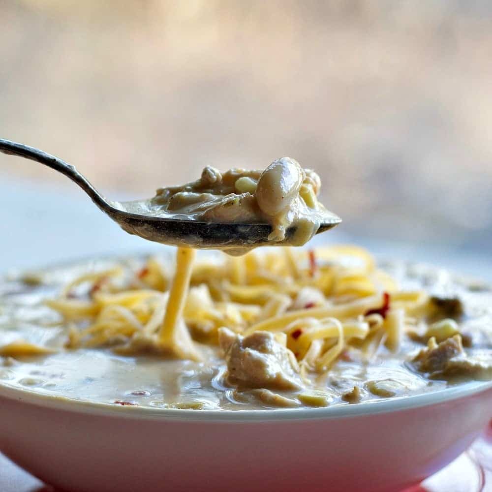 Crock Pot Chili Chicken Soup 