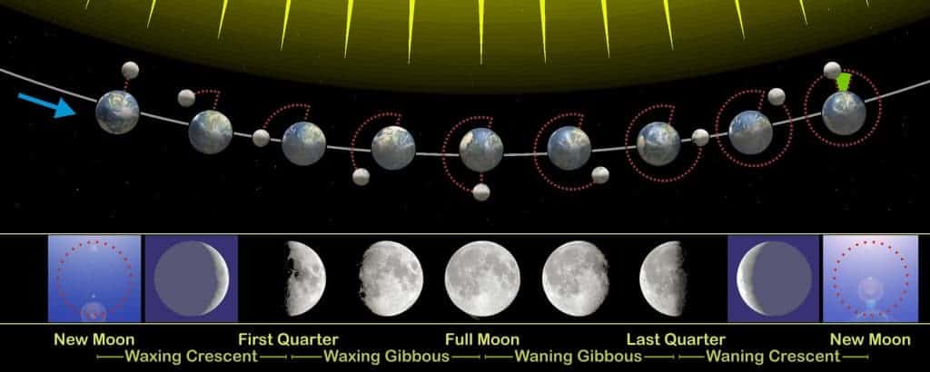 Germinating Seeds By Lunar Cycle 2 Lunar Cycle