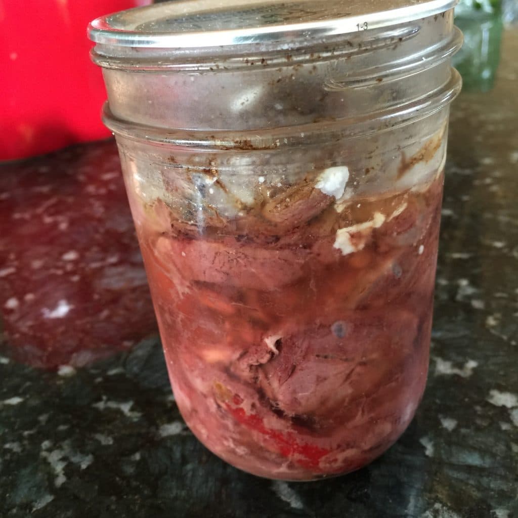 Home canned venison