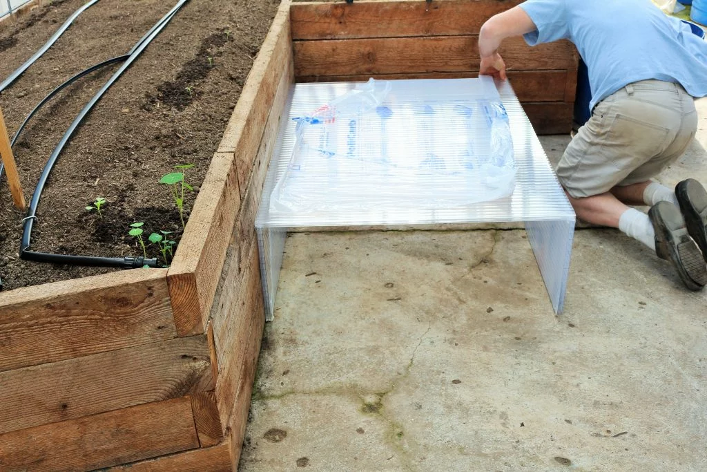 Building A Greenhouse Cold Frame, Making Cold Frames For Seedlings