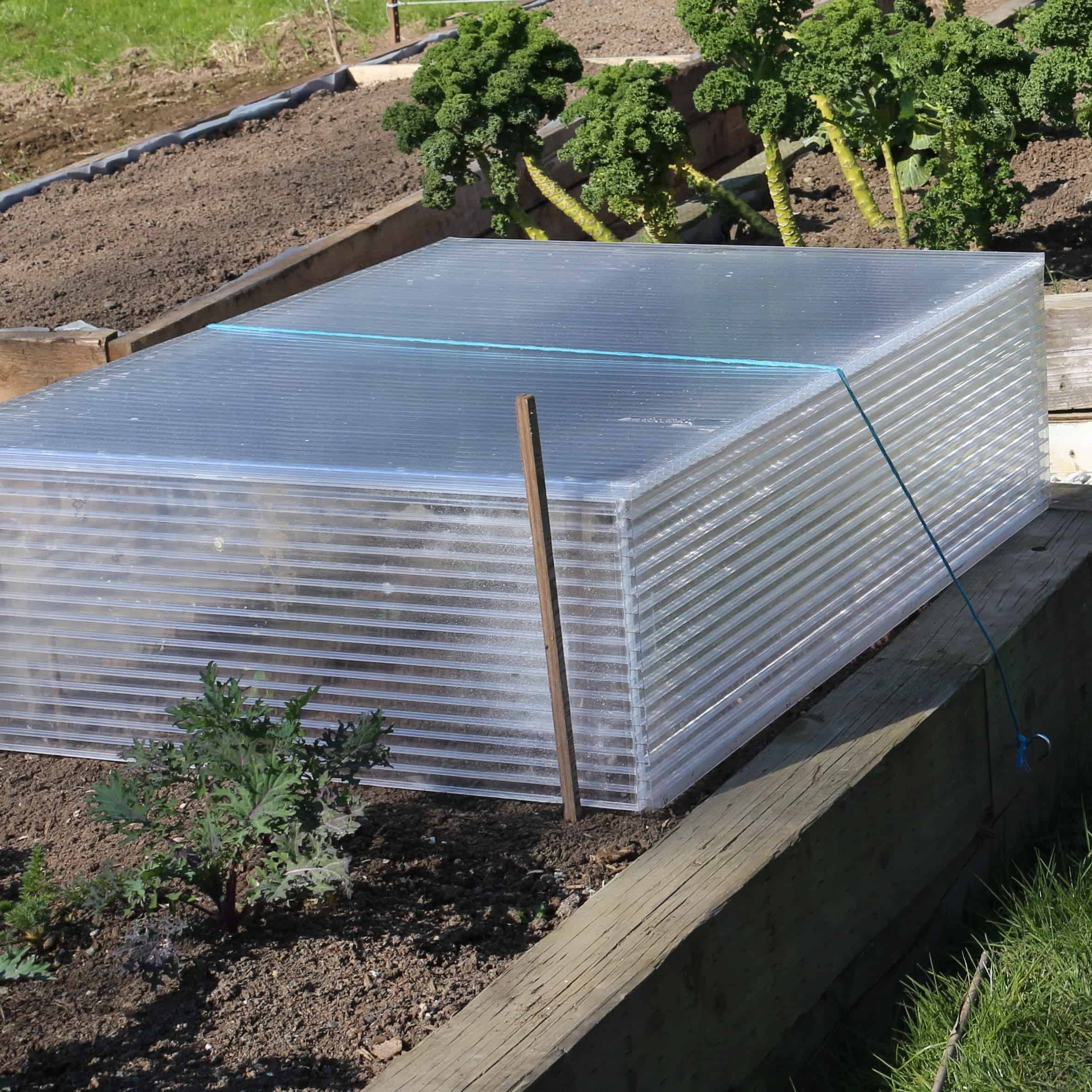 Making Cold Frames for Seedlings Homemade Food Junkie