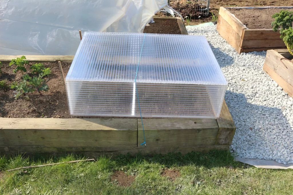 Greenhouse Cold Frame, Making Cold Frames For Seedlings, 