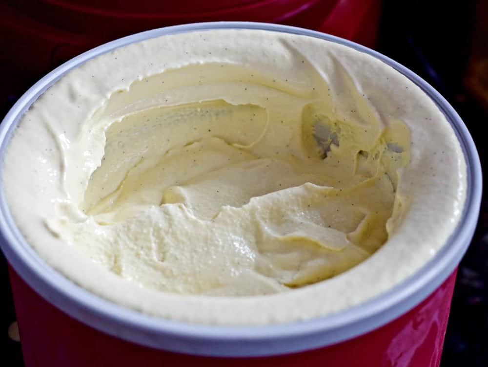 Homemade French Vanilla Bean Ice Cream