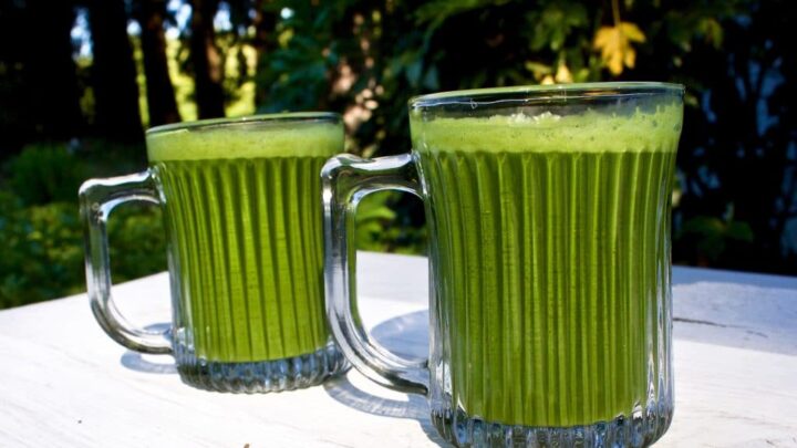 Green Garden Juice
