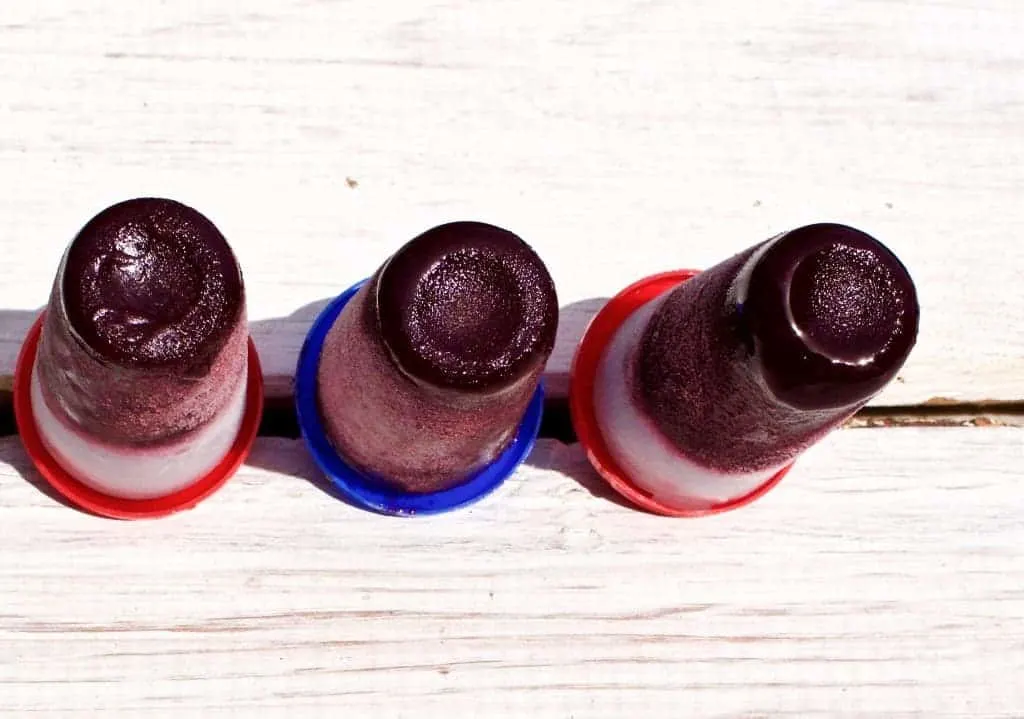 Blueberry Coconut Lime Popsicles