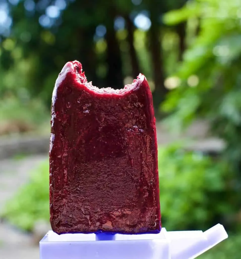 Blueberry Lime Popsicles