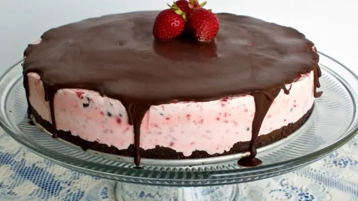 Chocolate Strawberry Ice Cream Cake