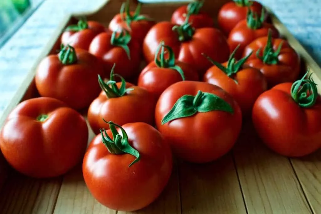 Homemade Salsa From The Back Of The Envelope Made From These Arbason Tomatoes