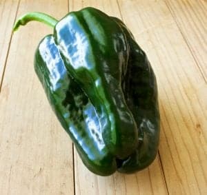 Tiburon Pepper
