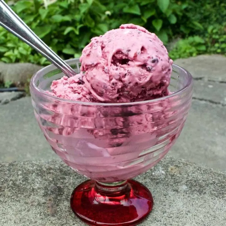 Blackberry Cheesecake ice Cream