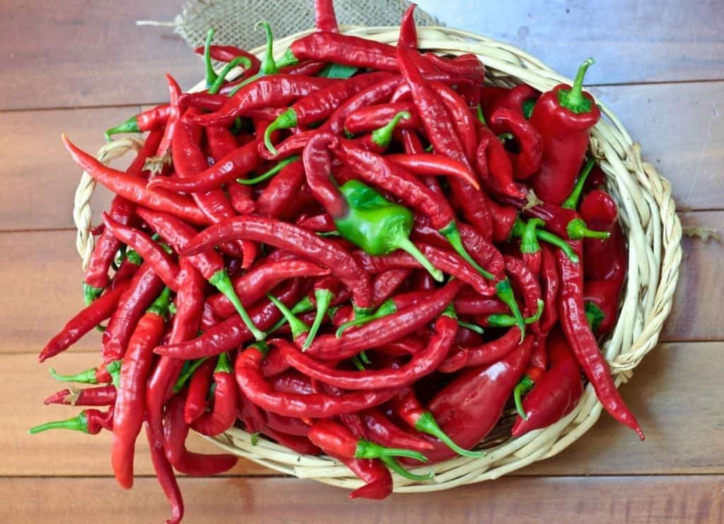 Bangkok Peppers Are Perfect For Thai Recipes 5 Tips For Growing Perfect Peppers Http://Homemadefoodjunkie.com