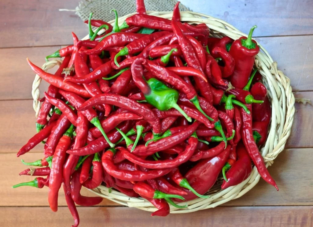 Bangkok Peppers Are Perfect For Thai Recipes 5 Tips For Growing Perfect Peppers Http://Homemadefoodjunkie.com