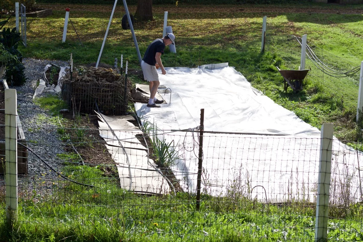 Mulching The Garden