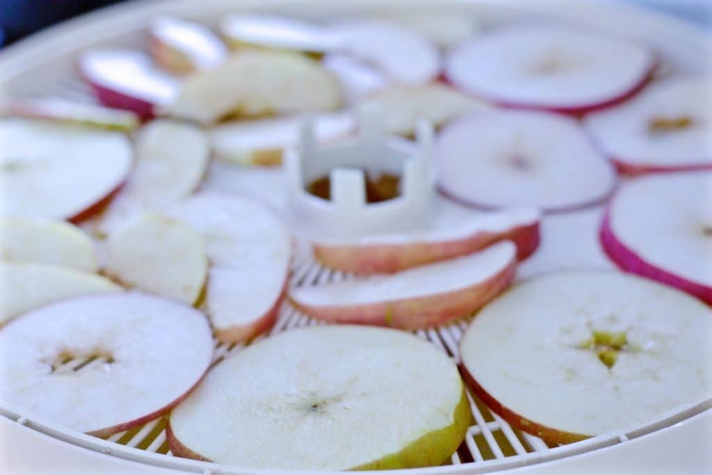 Homemade Apple Chips