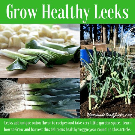 Grow Healthy Leeks