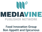 mediavine Publisher network